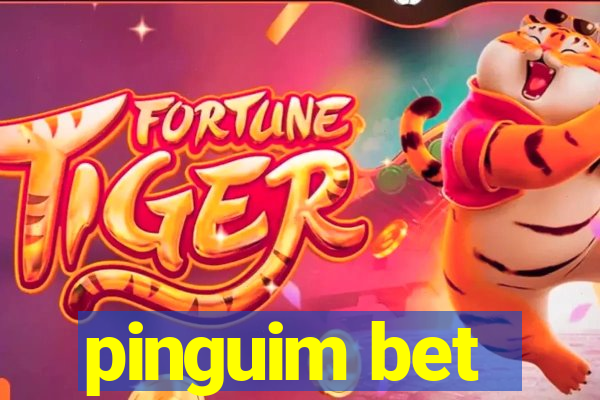 pinguim bet